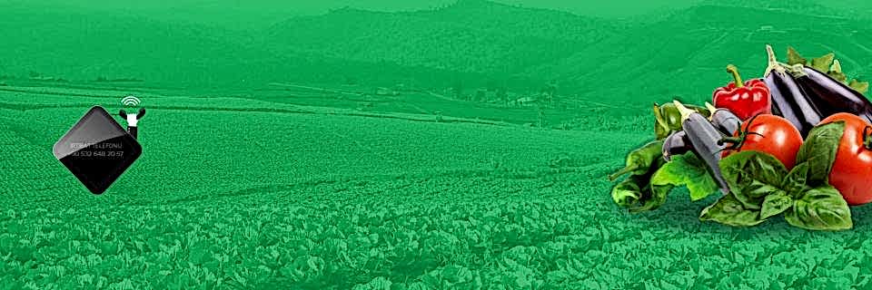 HİBRİT SEBZE TOHUMLARI VE ISLAHI YAPAN YERLİ TOHUM ŞİRKETİDİR