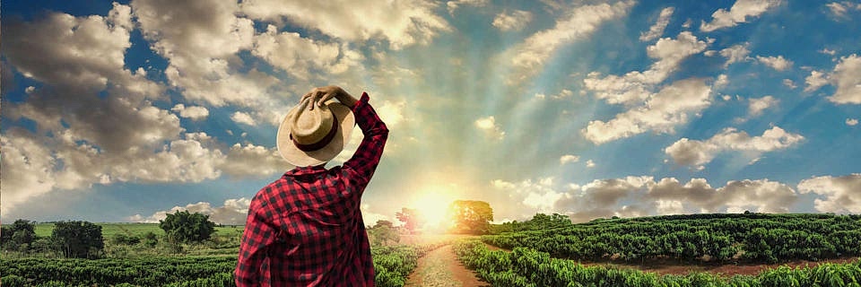 TÜRKİYE VE 25 ÜLKE İÇİN TOHUM ÜRETİYORUZ