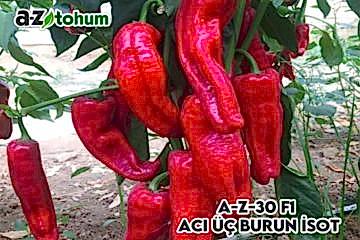 A-Z-30 F1 Acı Üç Burun İsot Biber