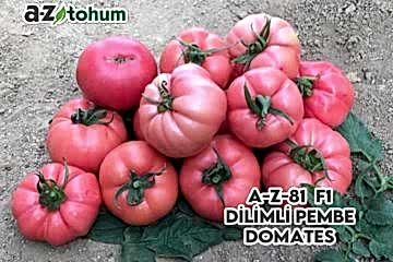 A-Z-81 F1 Dilimli Pembe Domates