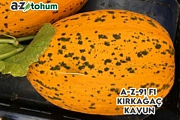 ROZA F1 Kırkağaç Kavun (A-Z-91)