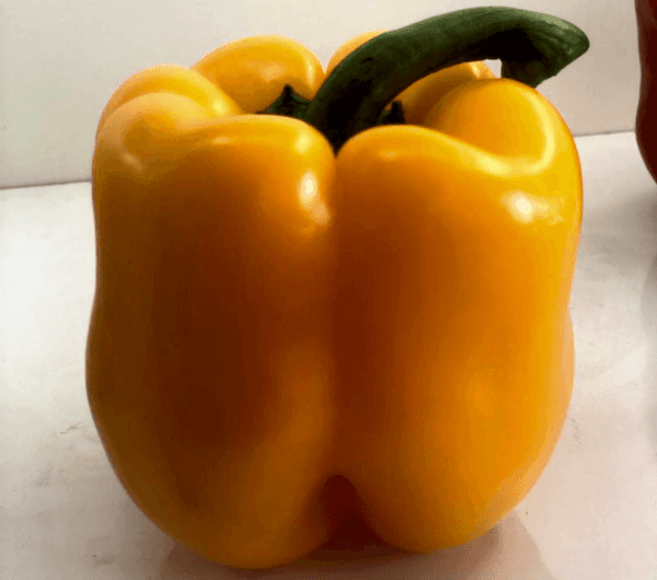 A-Z-25/15 F1 Sarı Kaliforniya Tipi Biber